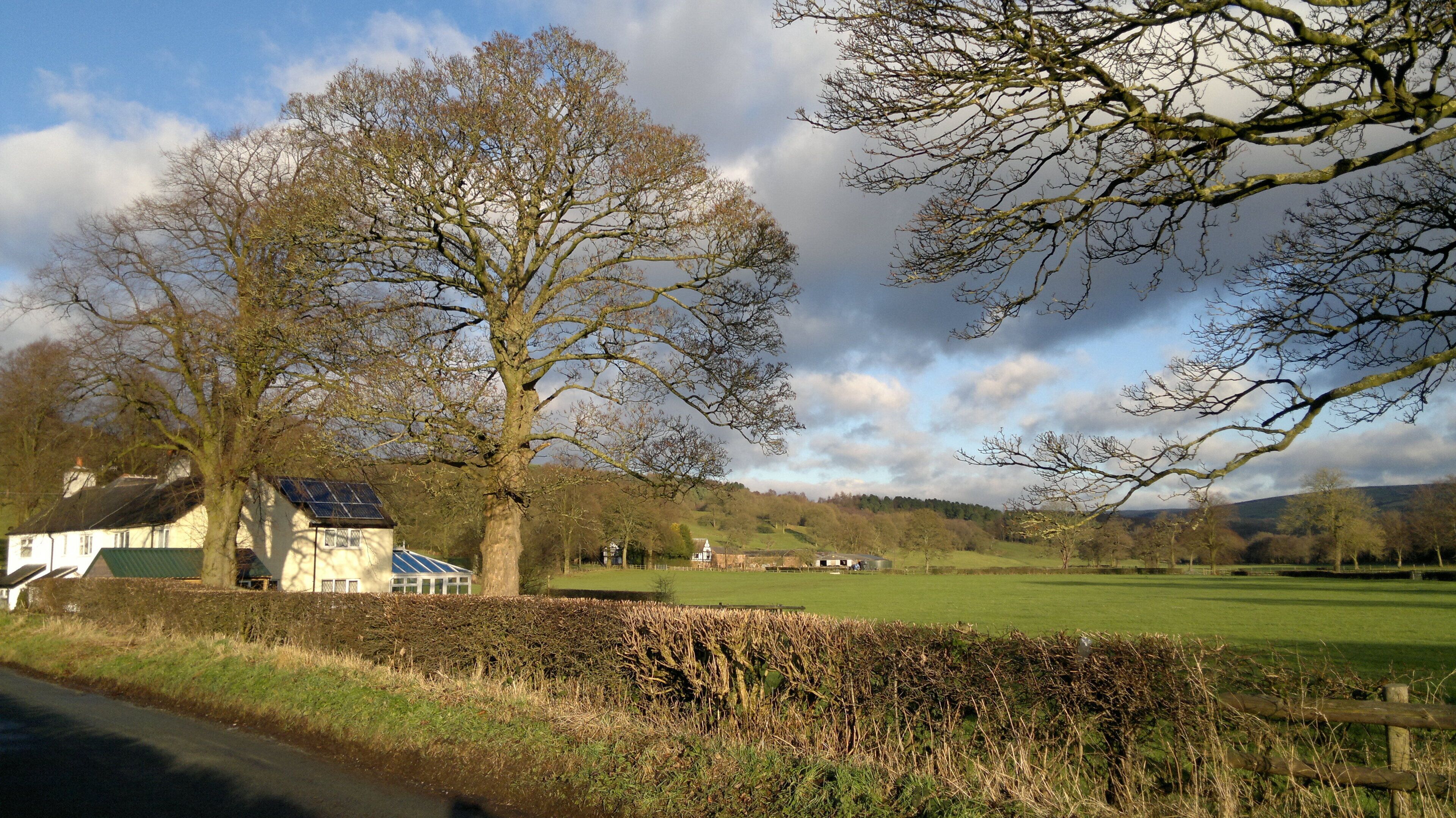 Looking towards site of old Cistercian Abbey, from Abbey Green