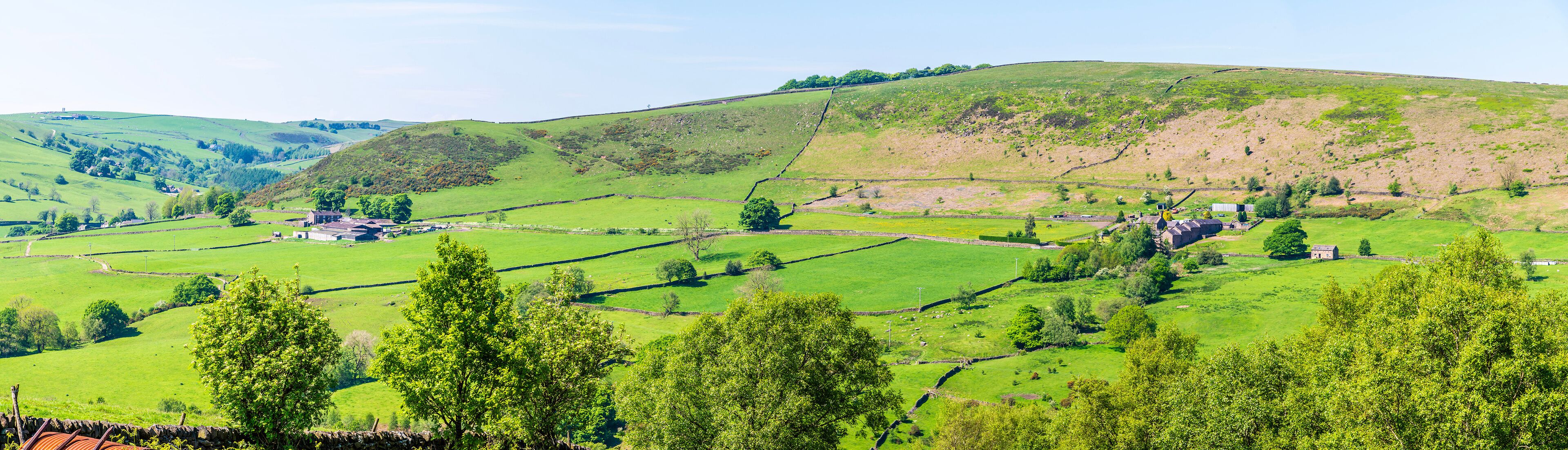 A panorama view towards Allgreave from the path leading to Luds Church in Staffordshire in summertime