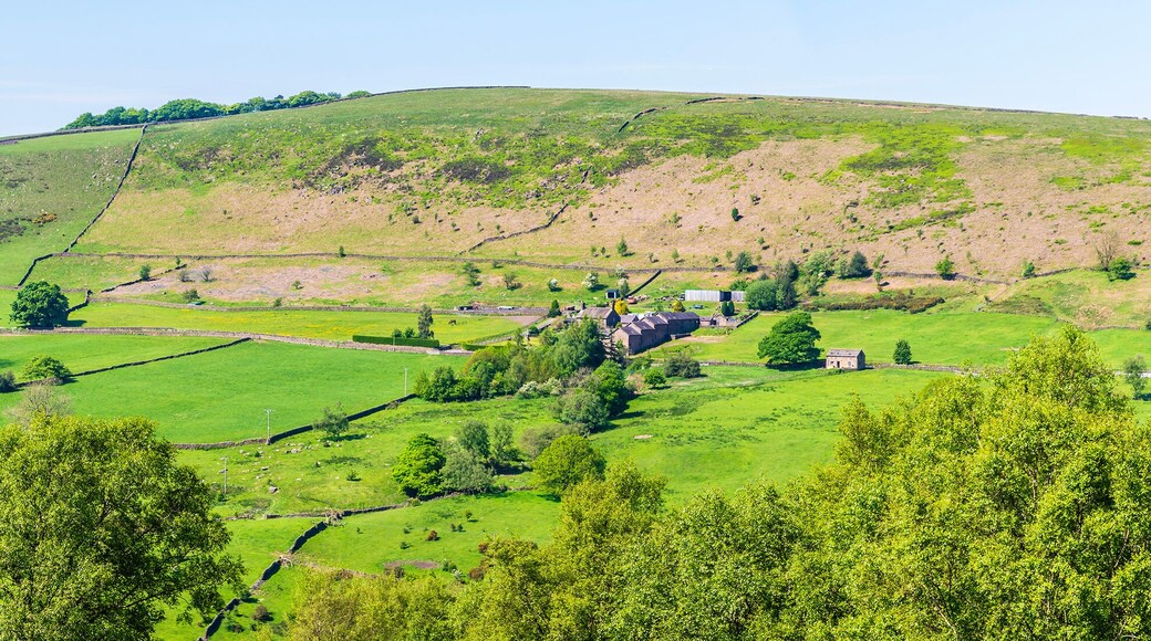 A panorama view towards Allgreave from the path leading to Luds Church in Staffordshire in summertime