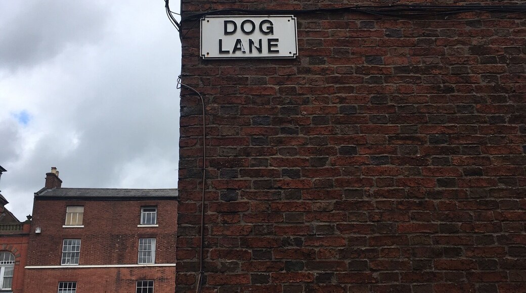 Dog Lane