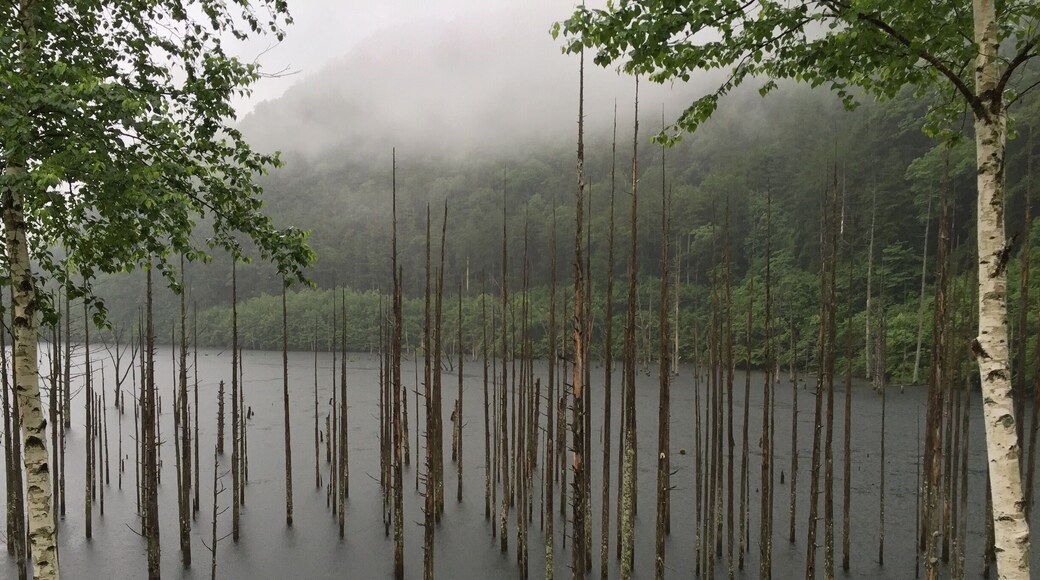 1979年の御嶽噴火の際の土石流でせき止められて出来た自然湖