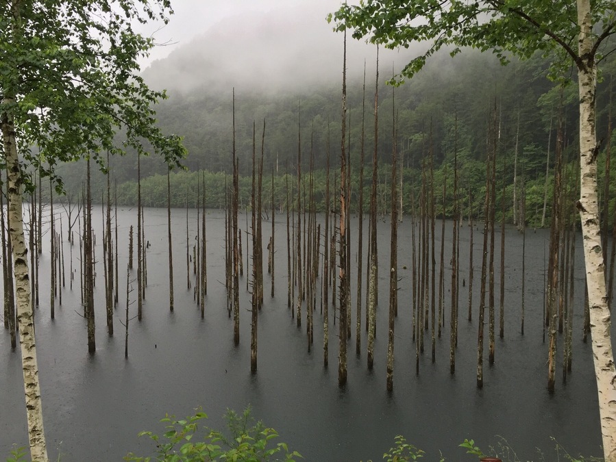 1979年の御嶽噴火の際の土石流でせき止められて出来た自然湖