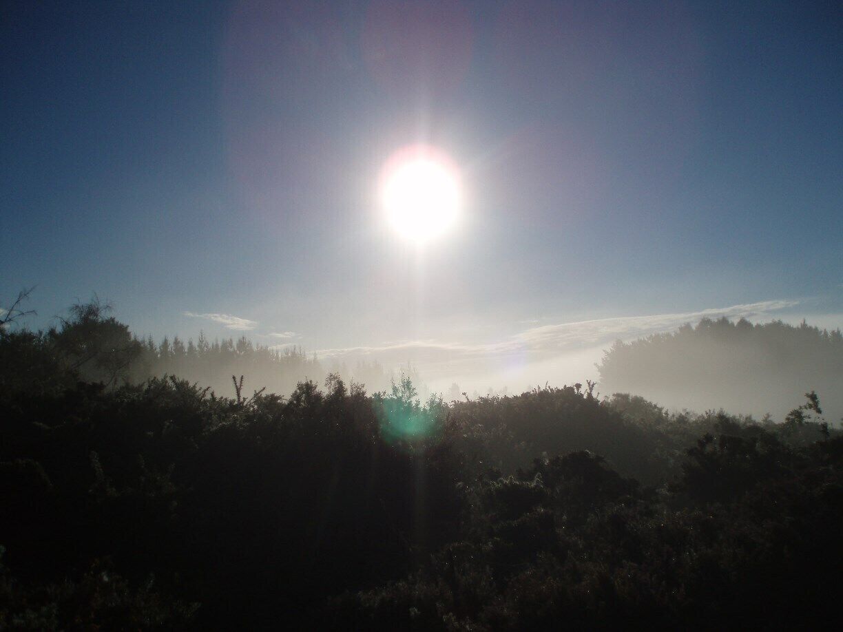 Just a morning on the Camino. Great view.