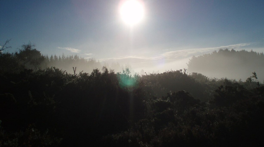 Just a morning on the Camino. Great view.