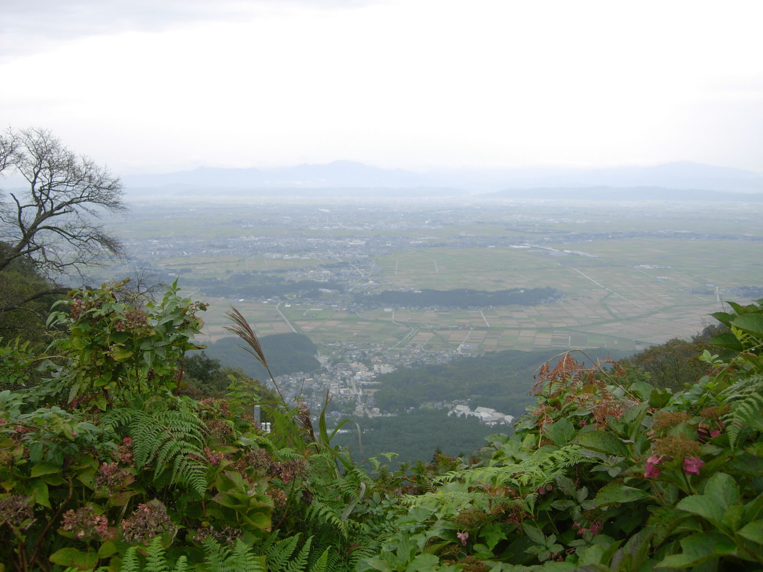 弥彦山から新潟市方面