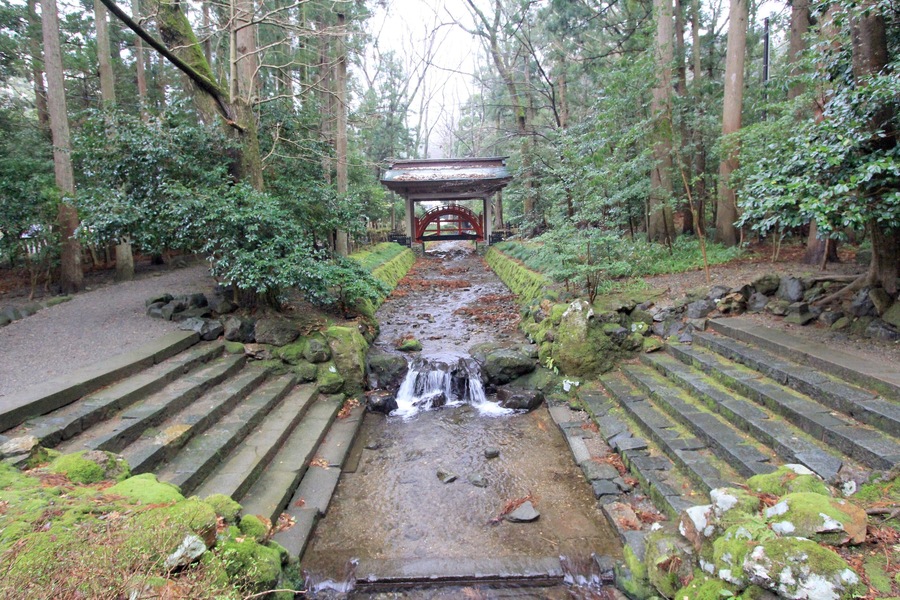 彌彦神社