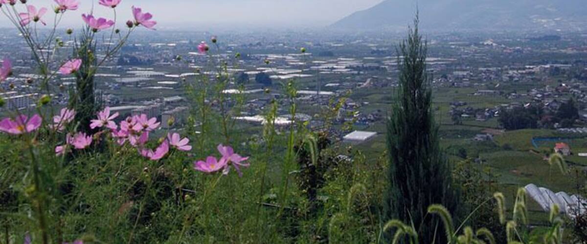 勝沼ぶどうの丘から Budo no Oka, Katsunuma