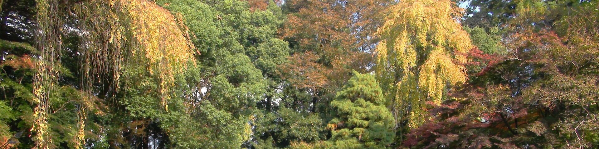 Erinji garden Places of Scenic Beauty