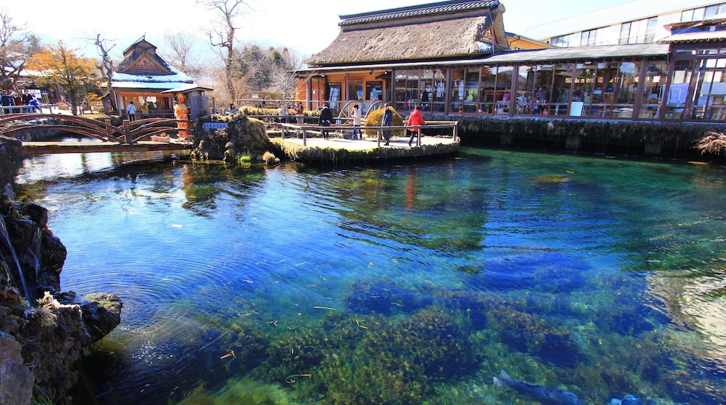 忍野村の中池。Panoramioより転載。