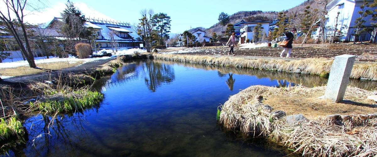 忍野八海、菖蒲池 (Shobu Pond)