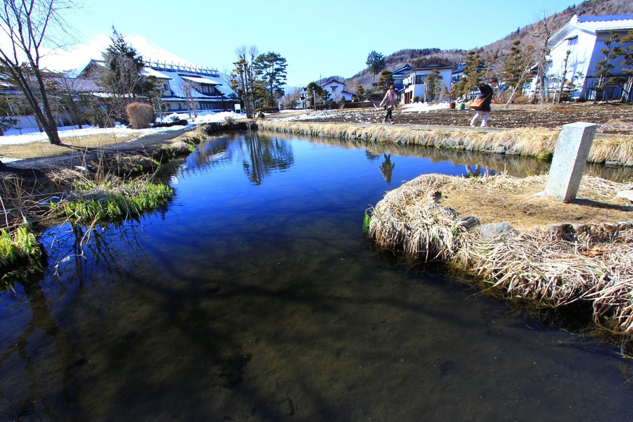 忍野八海、菖蒲池 (Shobu Pond)