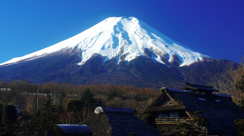 Mt. Fuji of winter that seen from Oshino Hakkai.