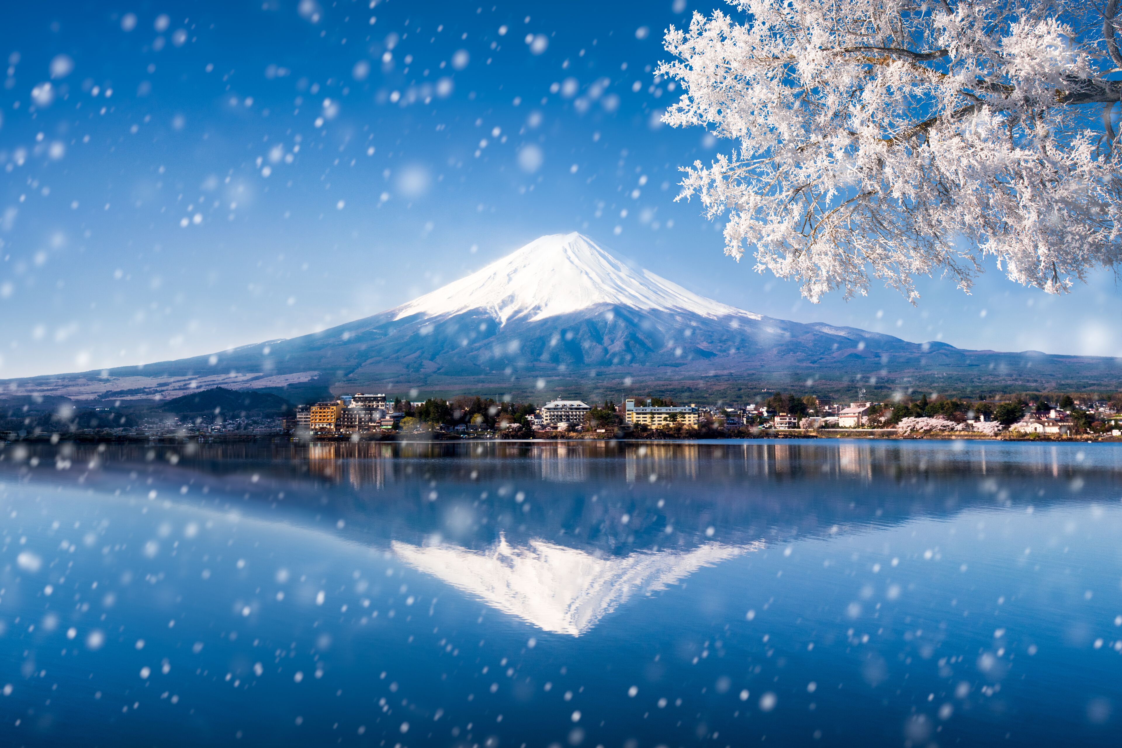 Berg Fuji in Japan im Winter am See Kawaguchiko 