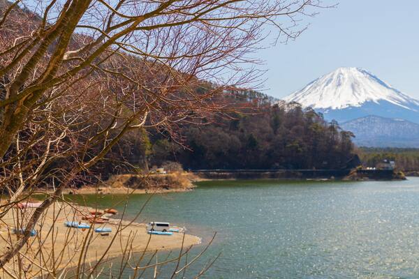 A lake with boats, a tree, and a mountain in the background.