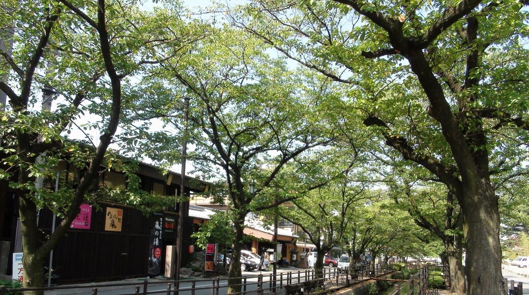 Isawa Hot Springs Creek Aug.2013