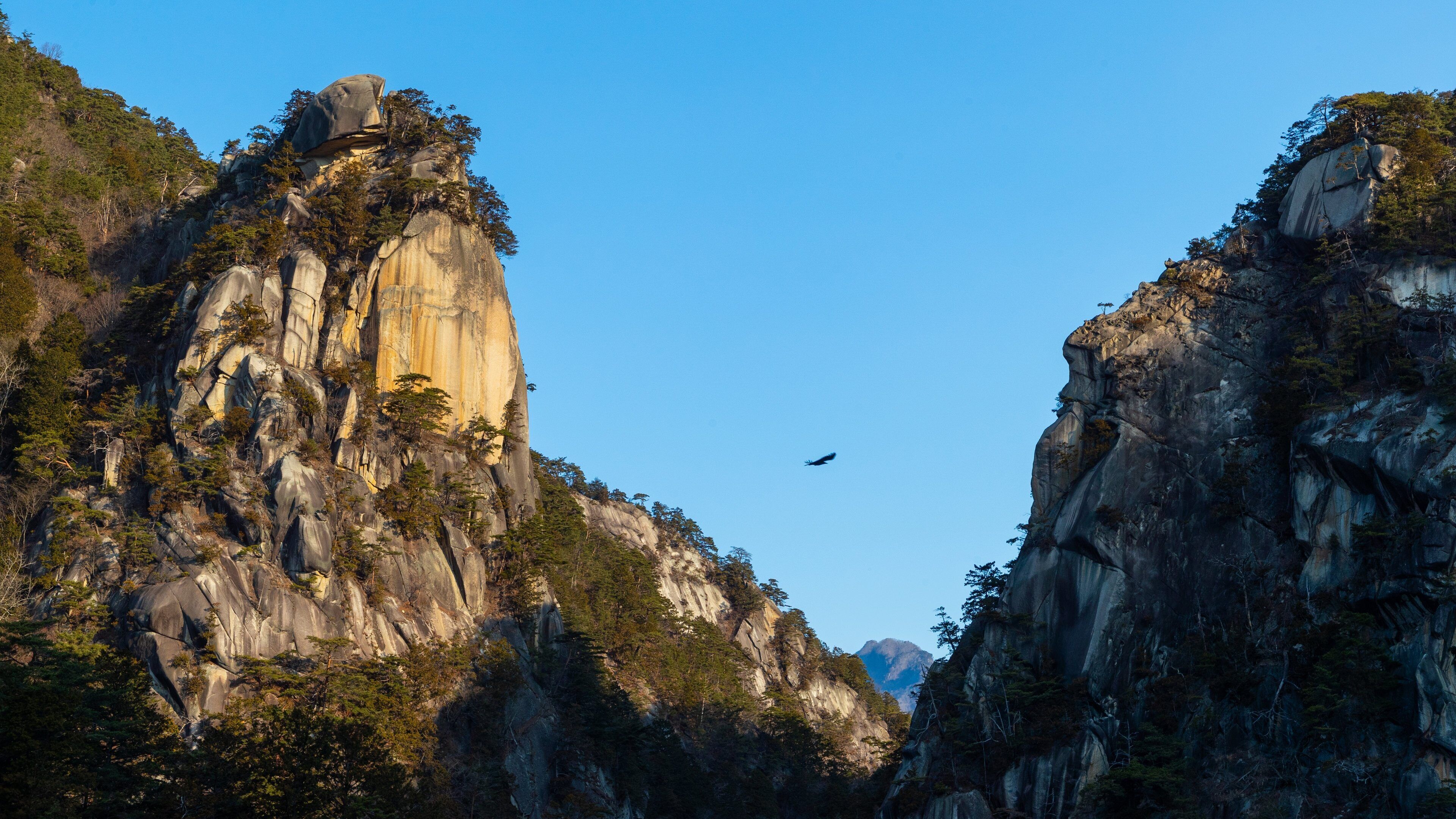Shosenkyo which includes tranquil scenes and a gorge or canyon