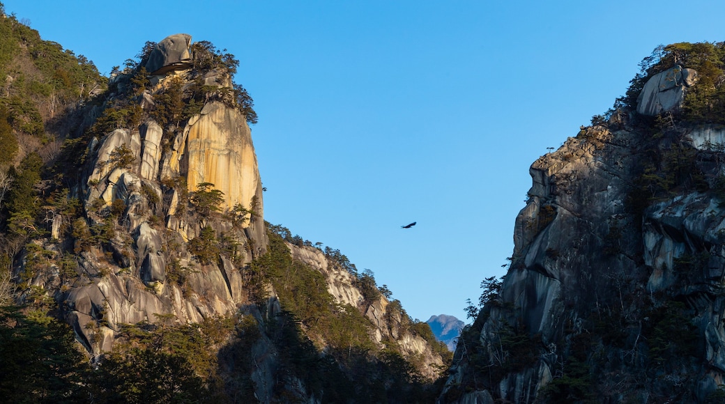 Shosenkyo which includes tranquil scenes and a gorge or canyon