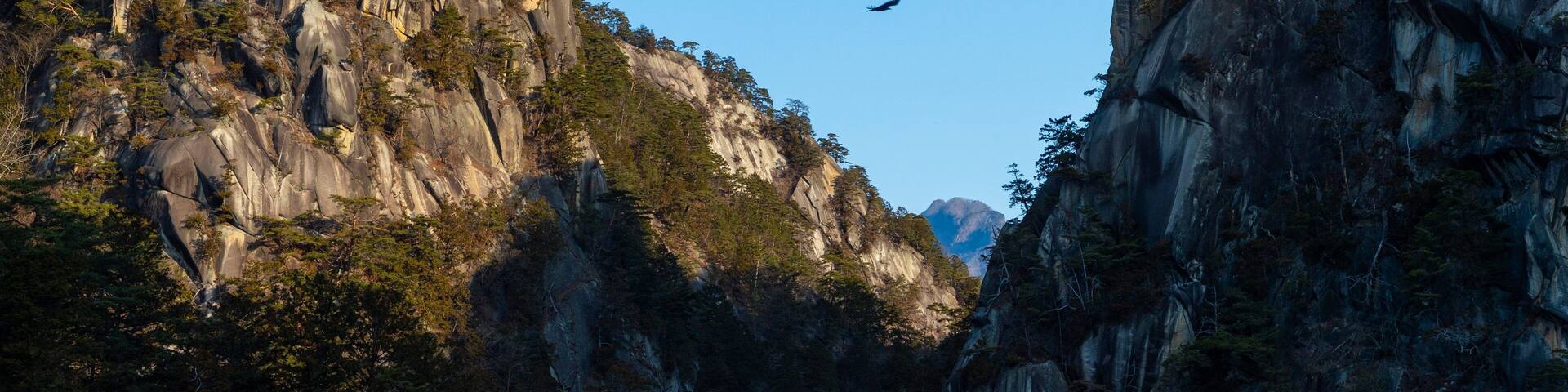 Shosenkyo which includes tranquil scenes and a gorge or canyon