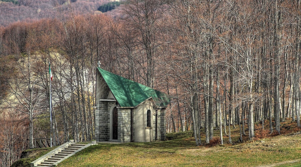 Polle di Riolunato (Mo)