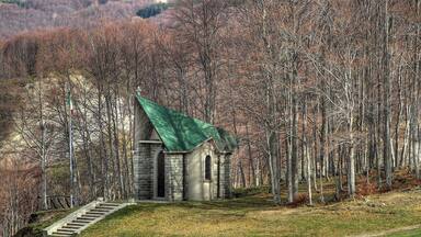 A small stone church with a green roof surrounded by a forest.