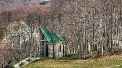 Polle di Riolunato (Mo)