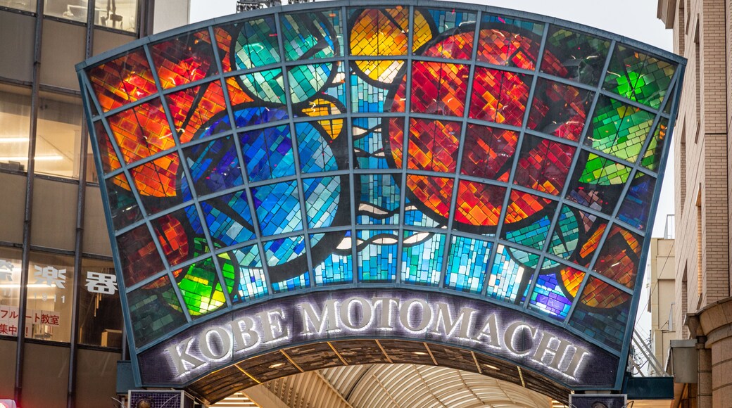 Motomachi Shopping Street featuring signage