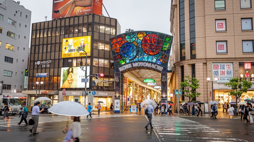 Motomachi Shopping Street showing street scenes and a city