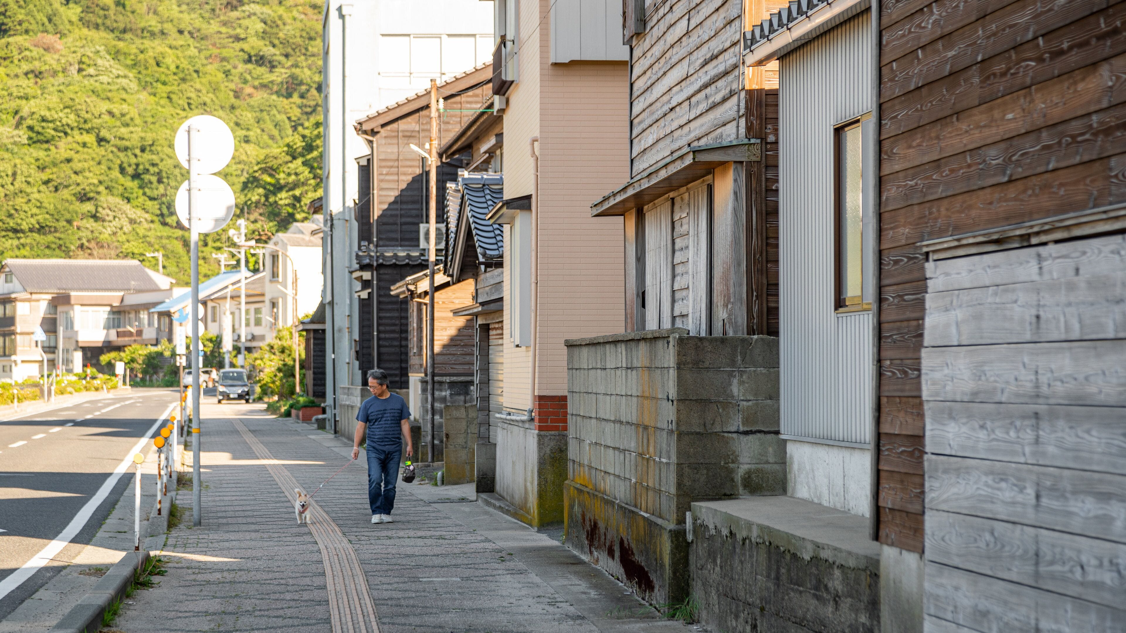 Takeno Beach showing street scenes and cuddly or friendly animals as well as an individual male