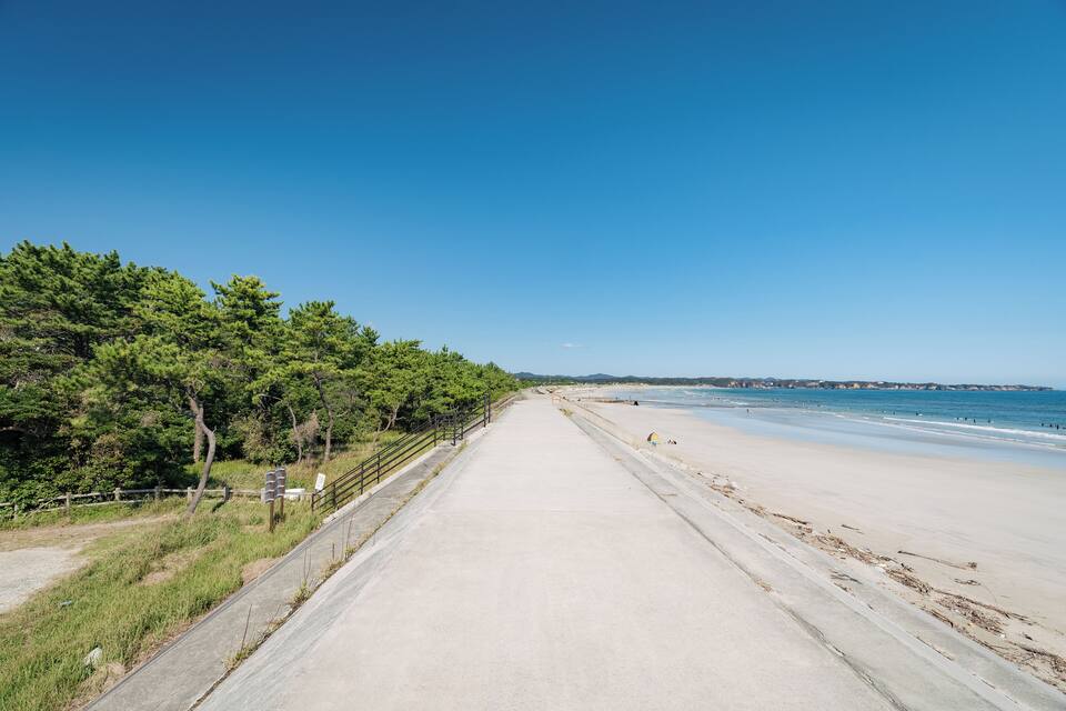 A coastal road with a beach on one side and a forest on the other.