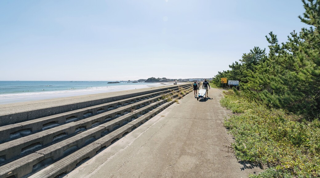 Ago-no-matsubara-strand