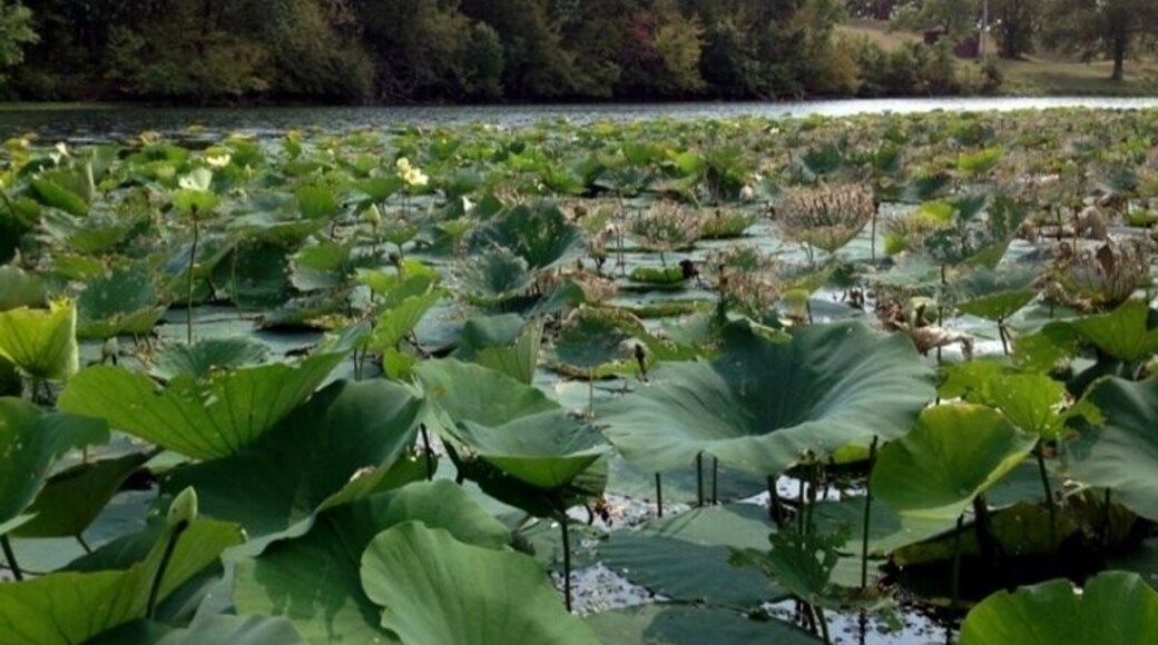 Campgrounds, hiking trails, and a small beach on the lake.