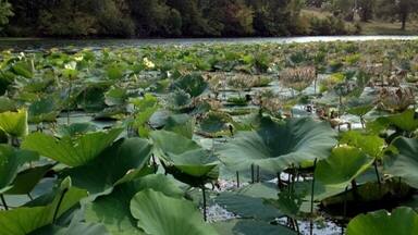 Campgrounds, hiking trails, and a small beach on the lake.