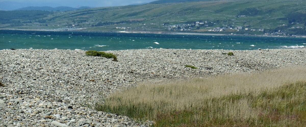 A rocky beach with a view of a coastal town and hills in the distance.