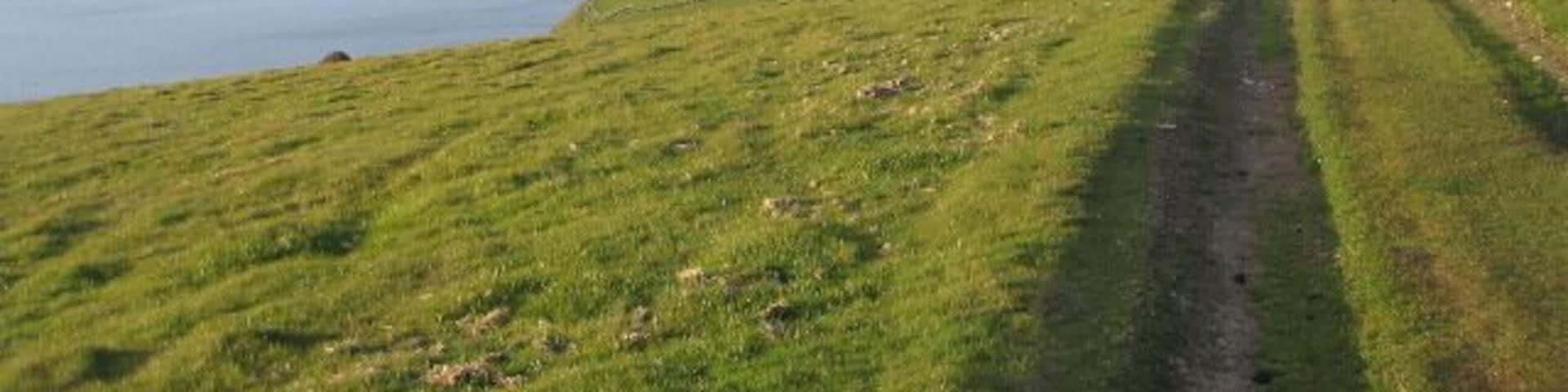 Green track above Llwyngwril, evening In the distance can be seen the sand and shingle spit of Ro Wen at Fairbourne in SH6114 and Barmouth on the other side of the Mawddach estuary, in SH6115. The time is 2000, just over three hours before high water at Barmouth (2308). A morning view, two days earlier: https://www.geograph.org.uk/photo/1311584