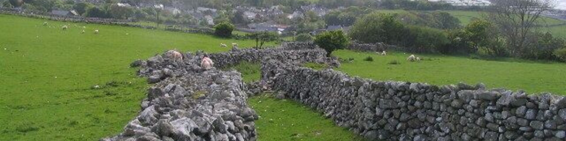 Eine steine Mauer in einem grünen Feld, im Hintergrund der Blick auf die Küste.