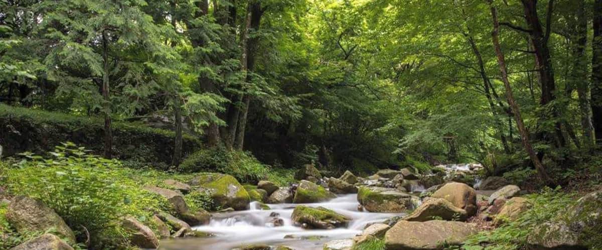 A great lunch while admiring this scenery is just simple bliss. This is at Kawazashiki Suzuran Restaurant, located at Ashigawa in Yamanashi Prefecture. Definitely worth to go! #waterlust #japan #rapids #ashigawa
