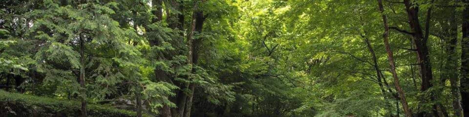 A great lunch while admiring this scenery is just simple bliss. This is at Kawazashiki Suzuran Restaurant, located at Ashigawa in Yamanashi Prefecture. Definitely worth to go! #waterlust #japan #rapids #ashigawa