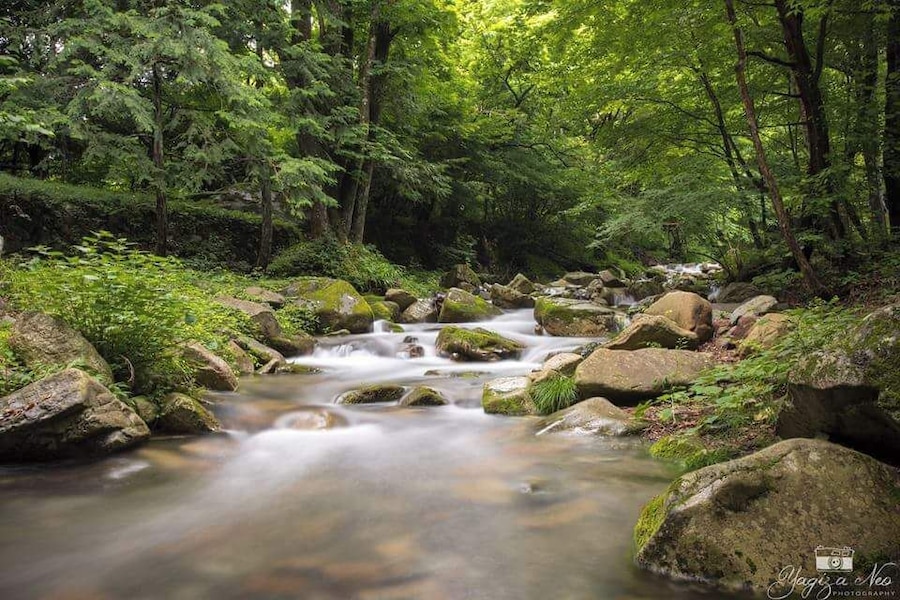 A great lunch while admiring this scenery is just simple bliss. This is at Kawazashiki Suzuran Restaurant, located at Ashigawa in Yamanashi Prefecture. Definitely worth to go! #waterlust #japan #rapids #ashigawa