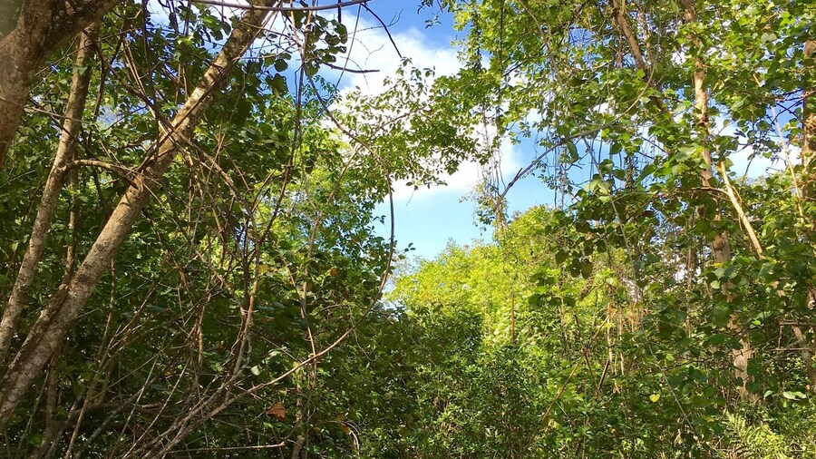 A tiny island that's in a tiny world of its own. #lifeatexpedia