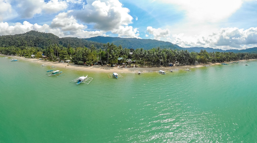 Aerial view of Port Barton Beach on paradise island, tropical travel destination - Port Barton, San Vicente, Palawan, Philippines.