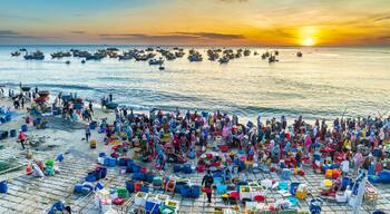 Un animado pueblo pesquero en la costa al atardecer, con numerosos barcos y gente dedicada a la pesca.