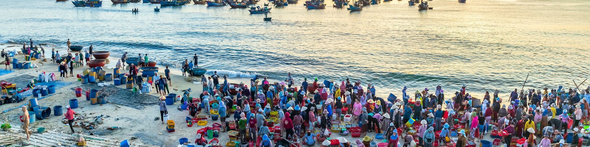 A bustling coastal fishing village at sunset with numerous boats and people engaged in fishing activities.