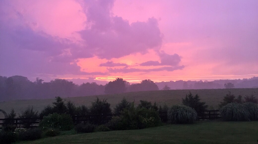 A cloudy evening presented a beautiful sunset view from the back gardens.