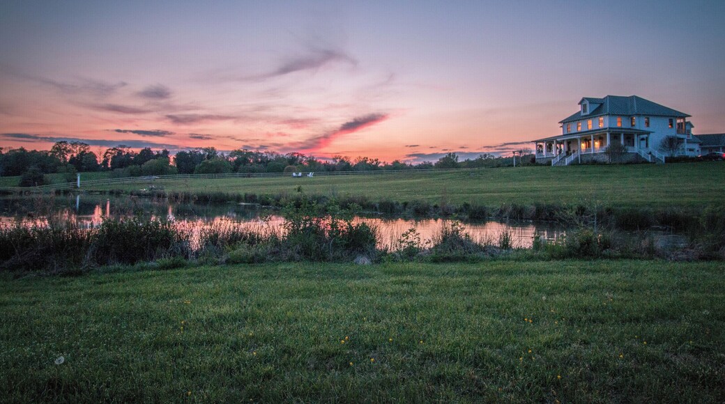 Walden Hall is a luxury Bed and Breakfast and event space nestled in the foothills of the Blue Ridge Mountains.