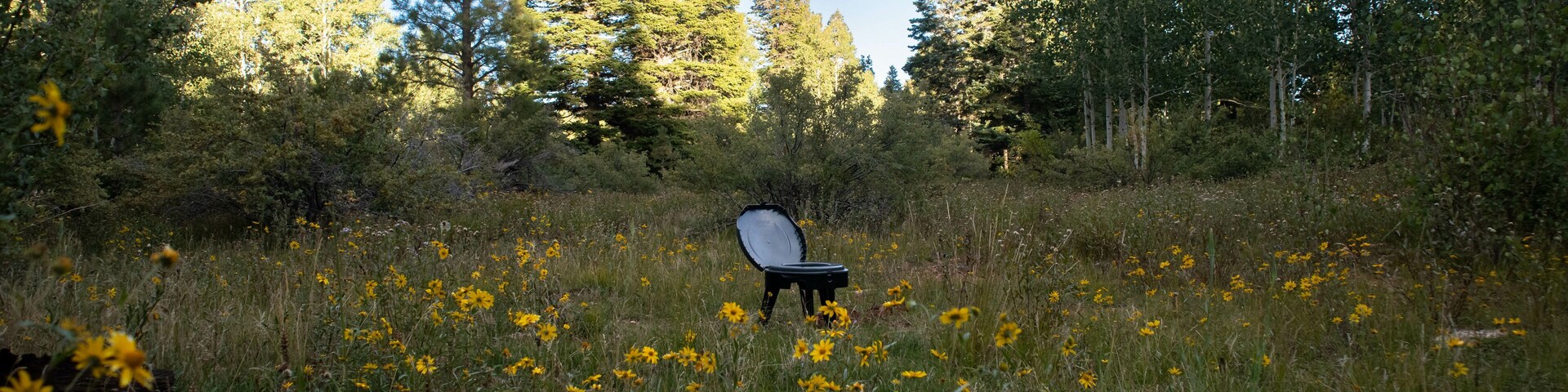 Camping toilet, field tall grass, yellow flowers, trees, bright sky.