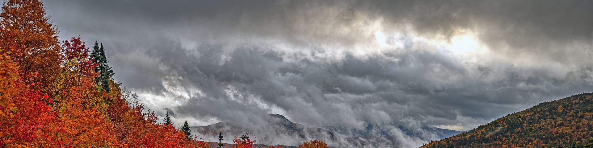 A forest with autumn foliage, a mountain range, and a cloudy sky.