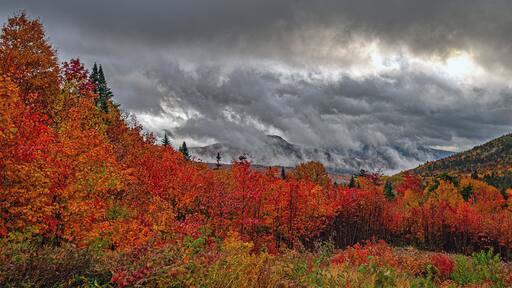 White Mountains are a mountain range of the state of New Hampshire