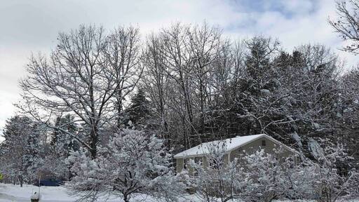 Just a walk to the school