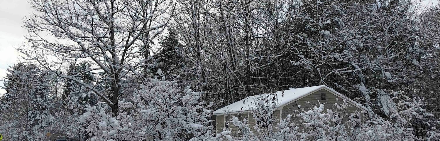 Just a walk to the school