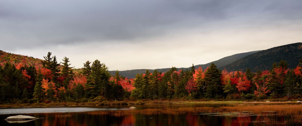 Lily pond on Kancamagus highway during fall foliage season